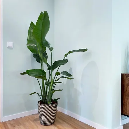 House Espacoso E Apartamento Oporto