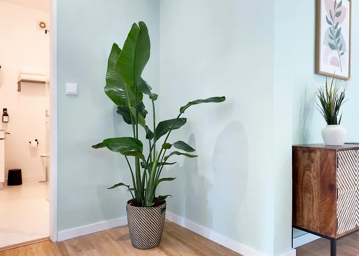 House Espacoso E Apartment Porto